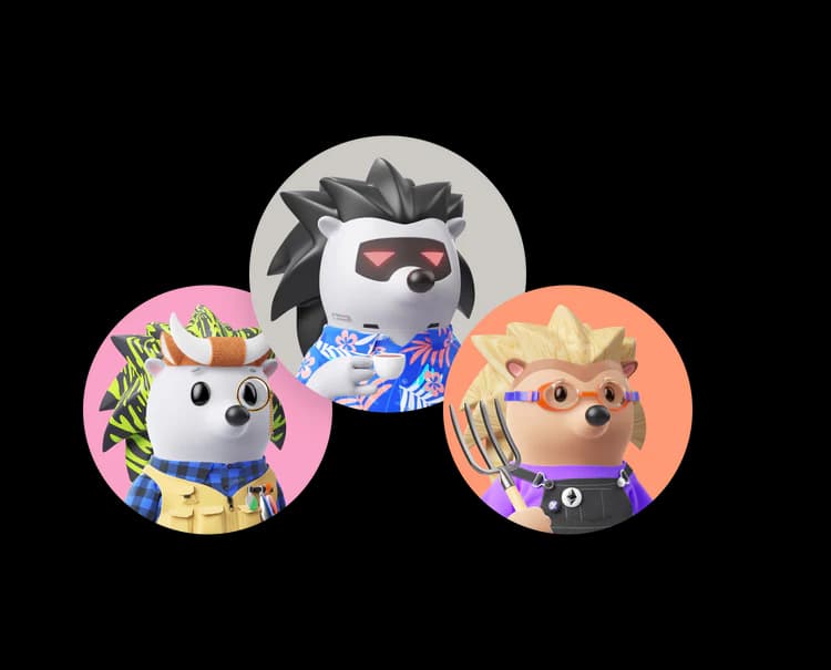 banner image